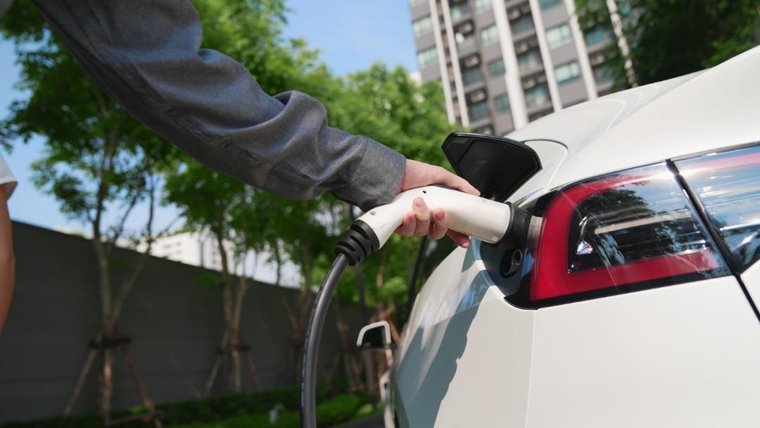 Website M Center Asset (1).jpg